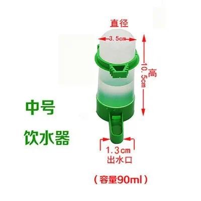 Hanging Waterer and Bird Feeder