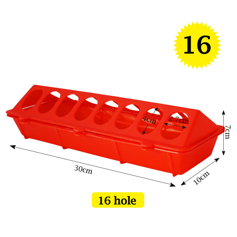 Poultry Ground Feeder Chicken