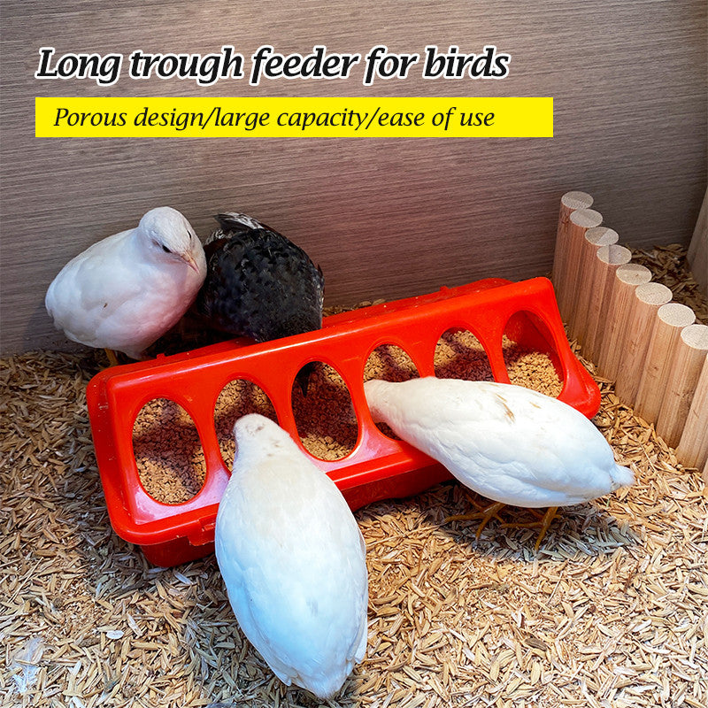 Poultry Ground Feeder Chicken