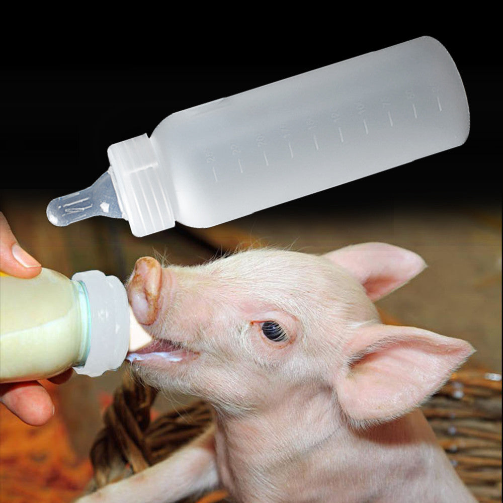 Animal Feeding Bottle 250ML