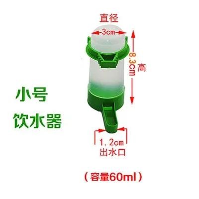 Hanging Waterer and Bird Feeder