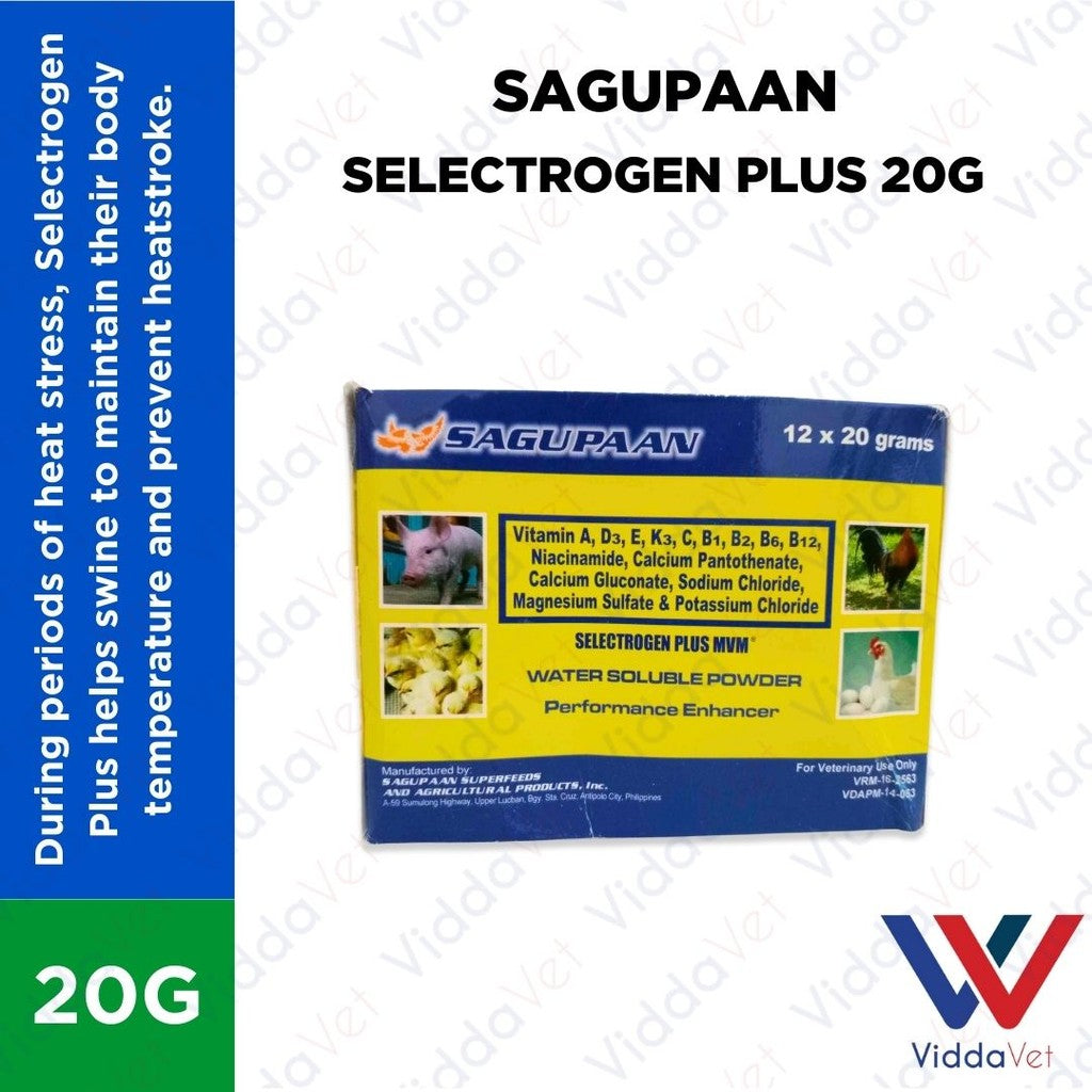 Sagupaan Selectrogen Plus 20g 1 Box