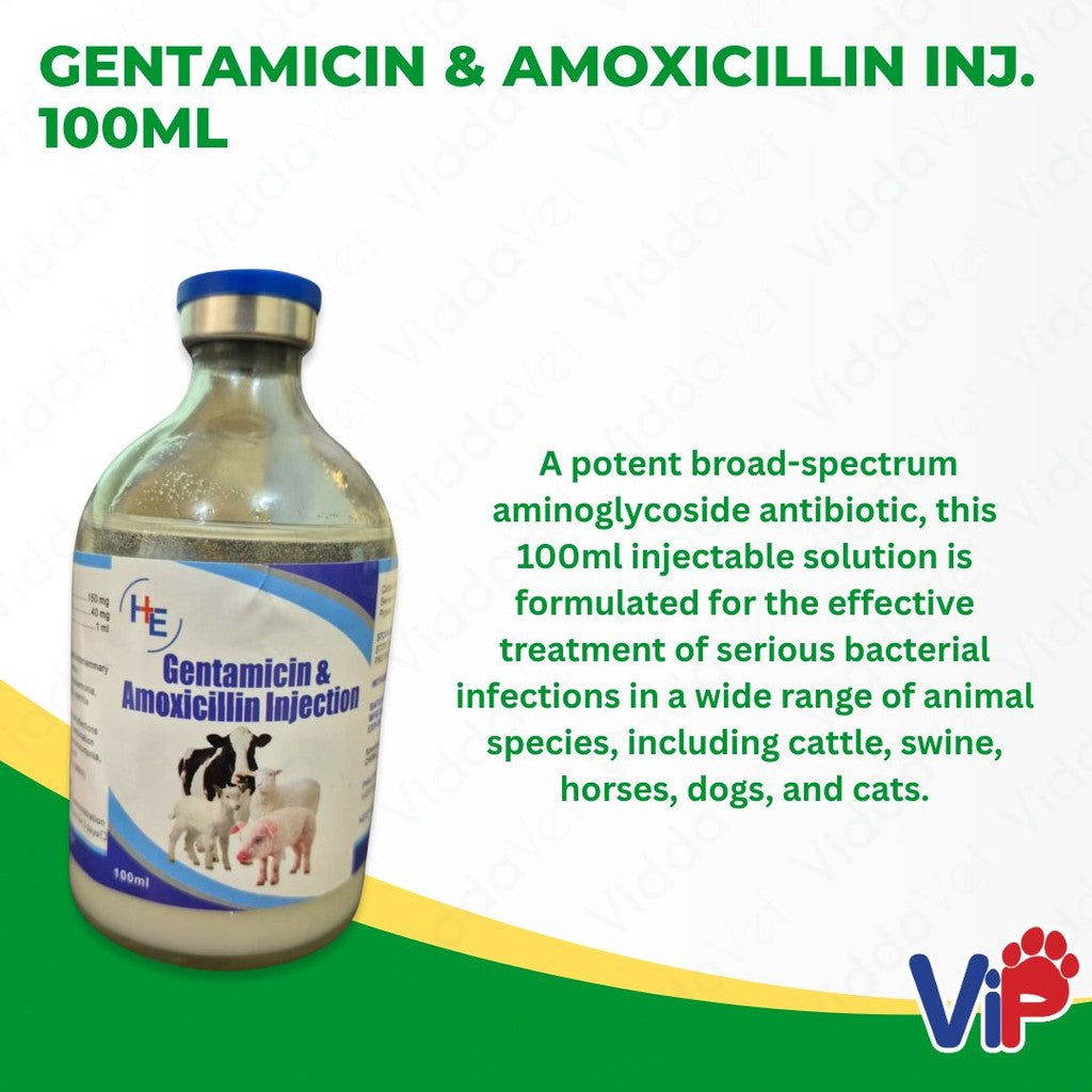 Gentamycin & Amox Inj 100mL