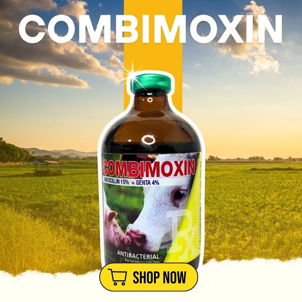 Piglet Bundle Davicom Plus, Combimoxin, Daviron Plus