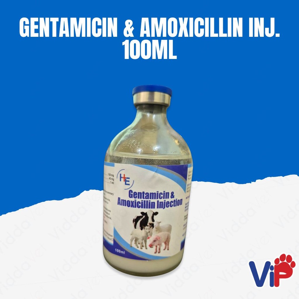 Gentamycin & Amox Inj 100mL