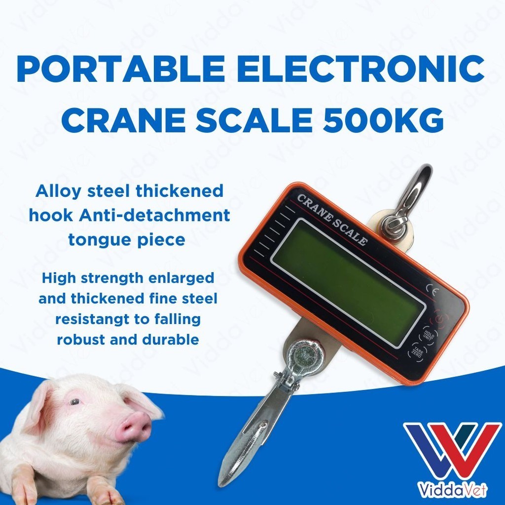 Portable Electronic Crane Scale 500kg