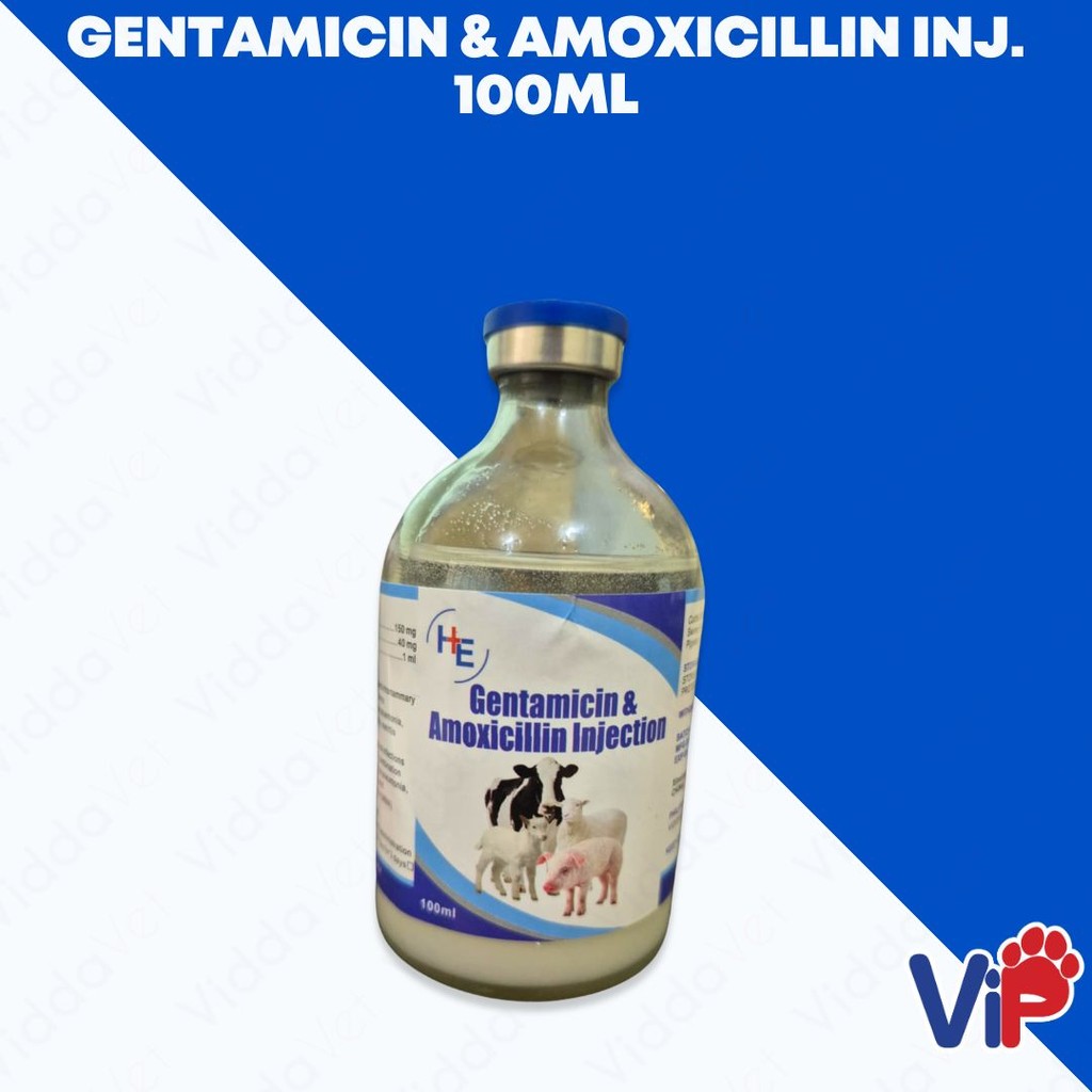 Gentamycin & Amox Inj 100mL