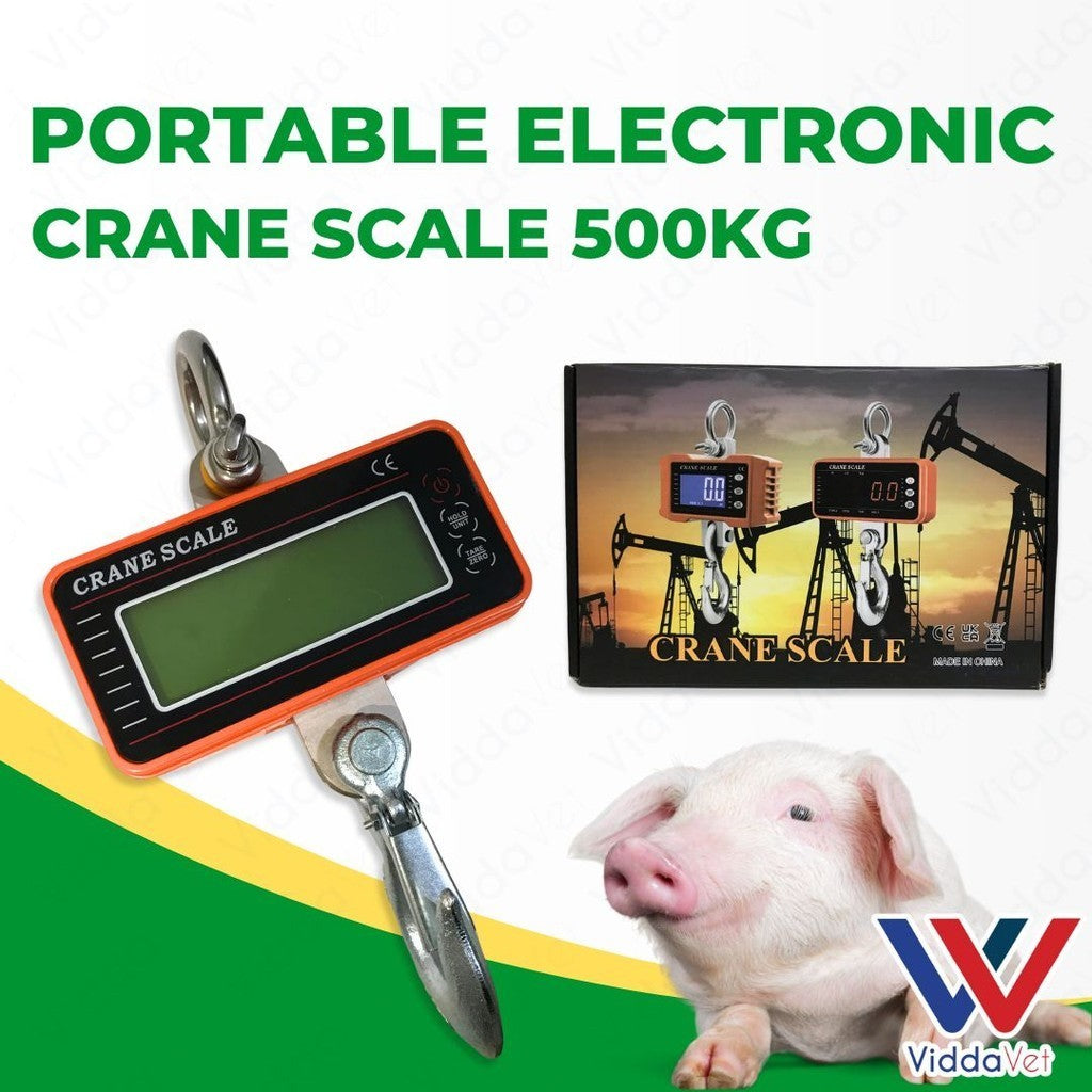 Portable Electronic Crane Scale 500kg
