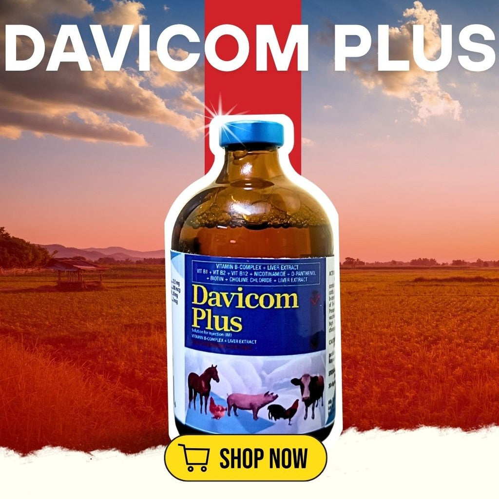 Piglet Bundle Davicom Plus, Combimoxin, Daviron Plus