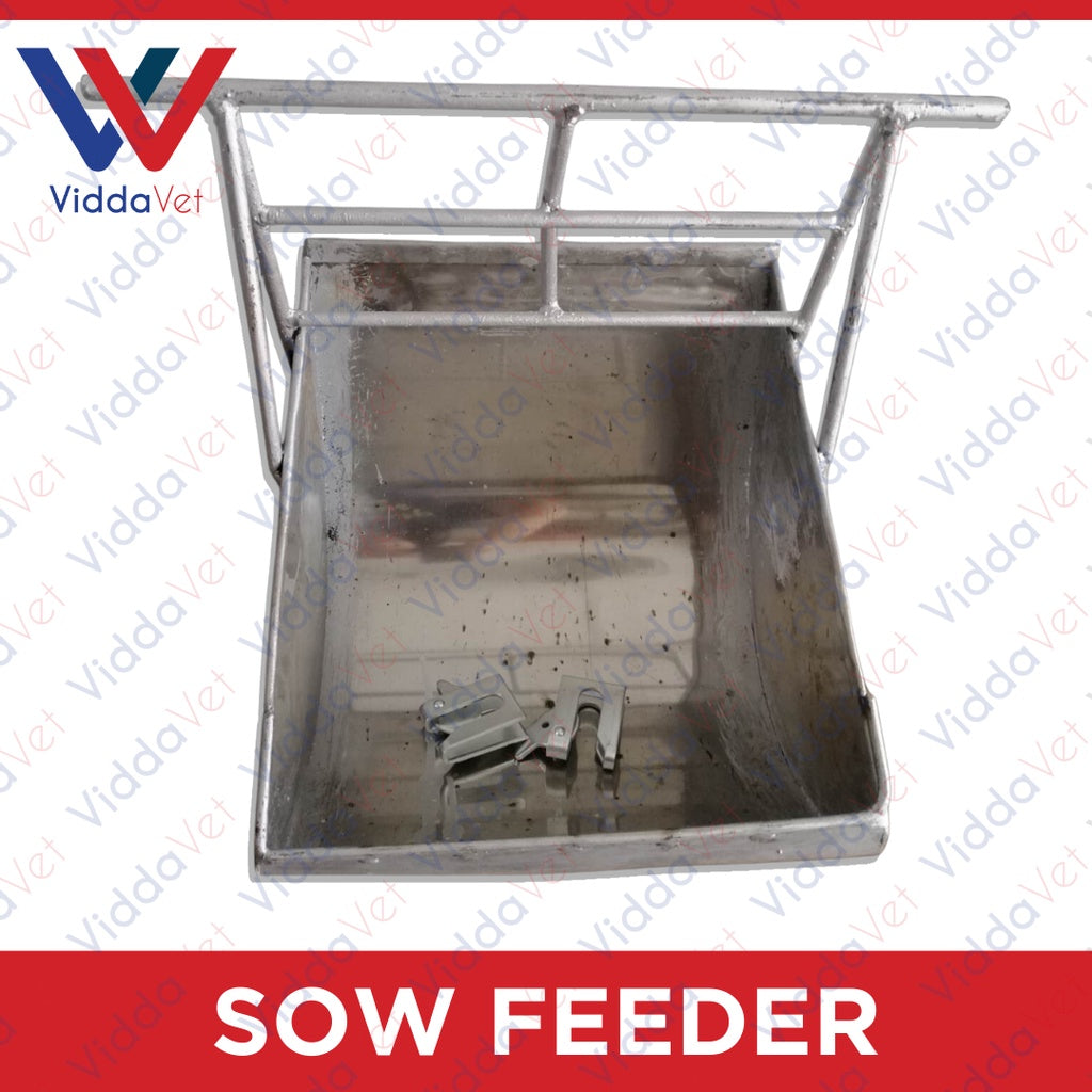 Stainless Sow Feeder with 2 pcs Galvanize Doorlock