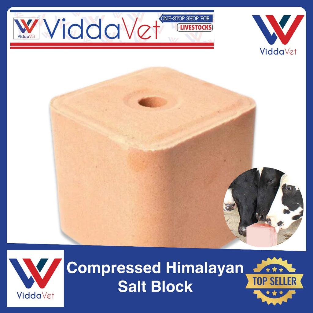 Pure Himalayan Mineral Block