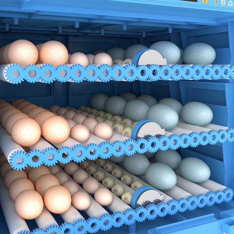 Automatic Eggs Incubator