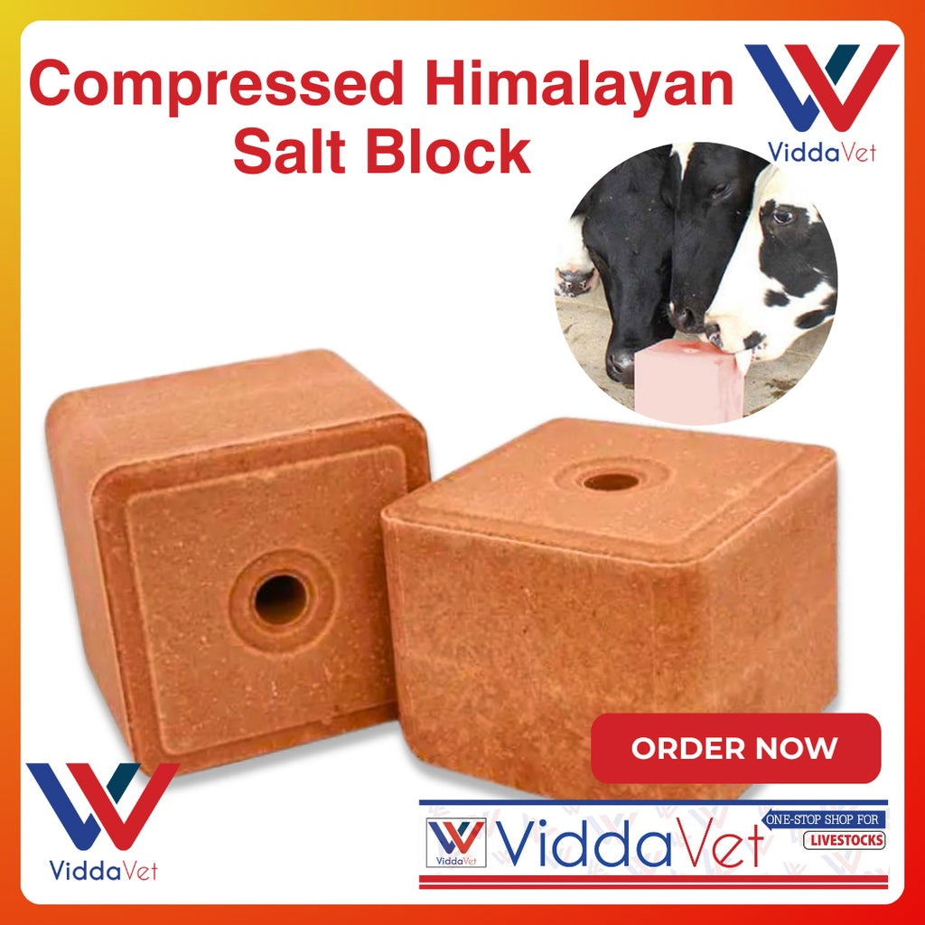 Pure Himalayan Mineral Block