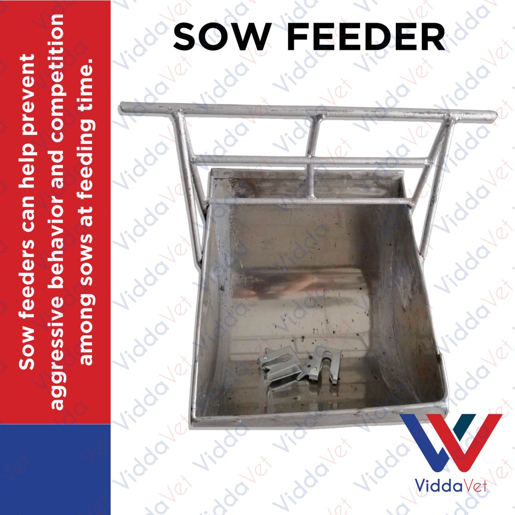 Stainless Sow Feeder with 2 pcs Galvanize Doorlock