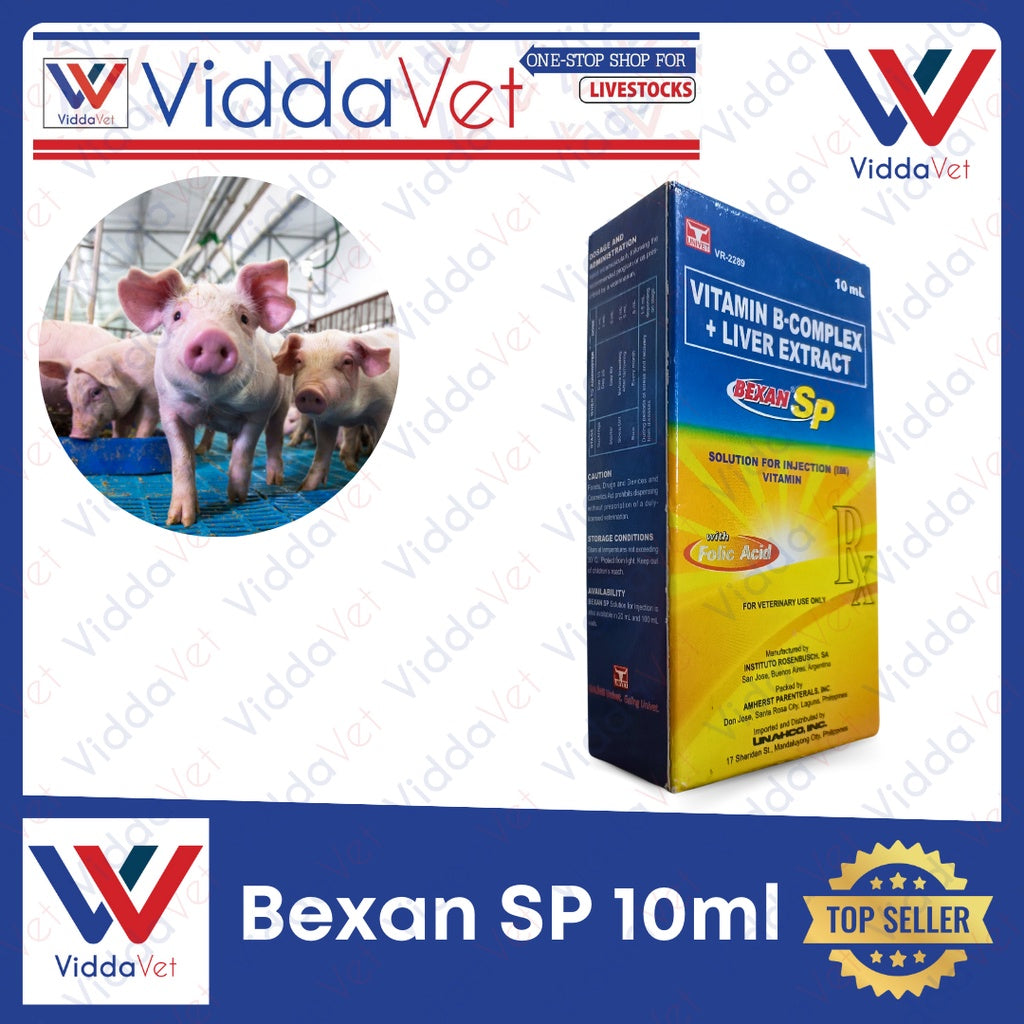 Bexan SP 10ml