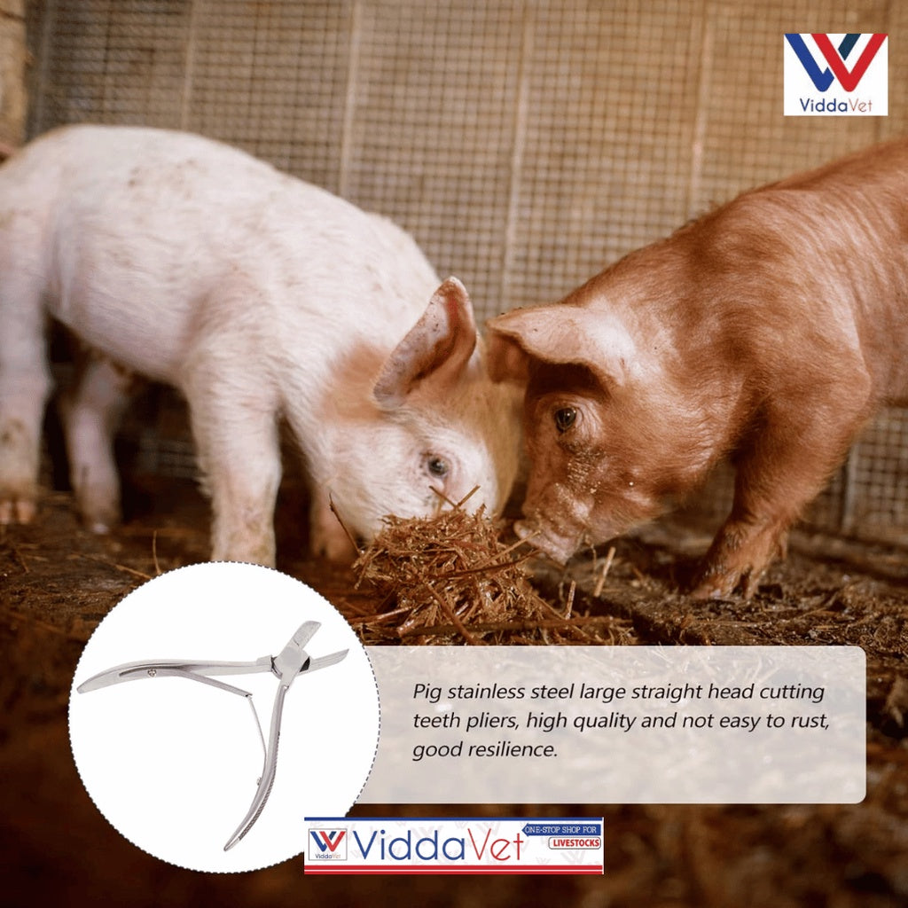 Stainless Piglet Teeth Cutter