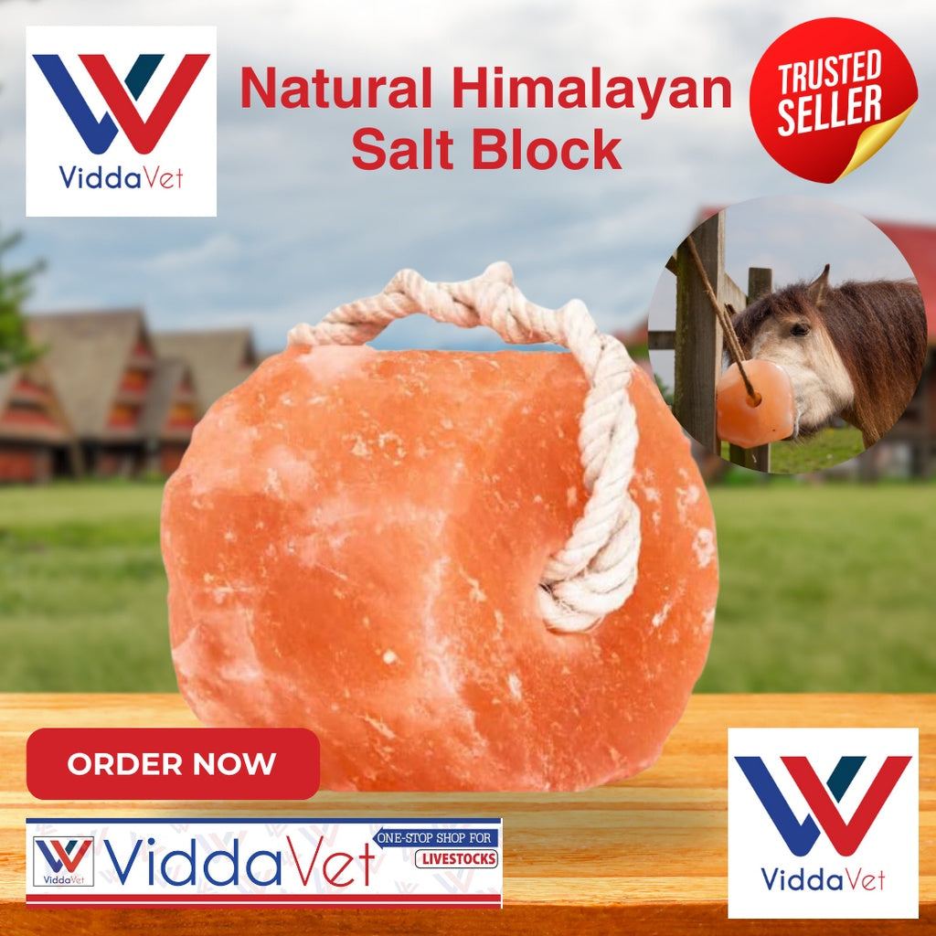 Natural Himalayan Salt Block