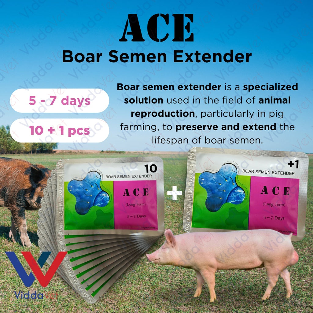 Ace Boar Semen Extender 5 to 7 days 10pcs + 1 Free