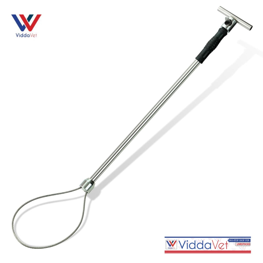 Heavy Duty Stainless Pig Restrainer