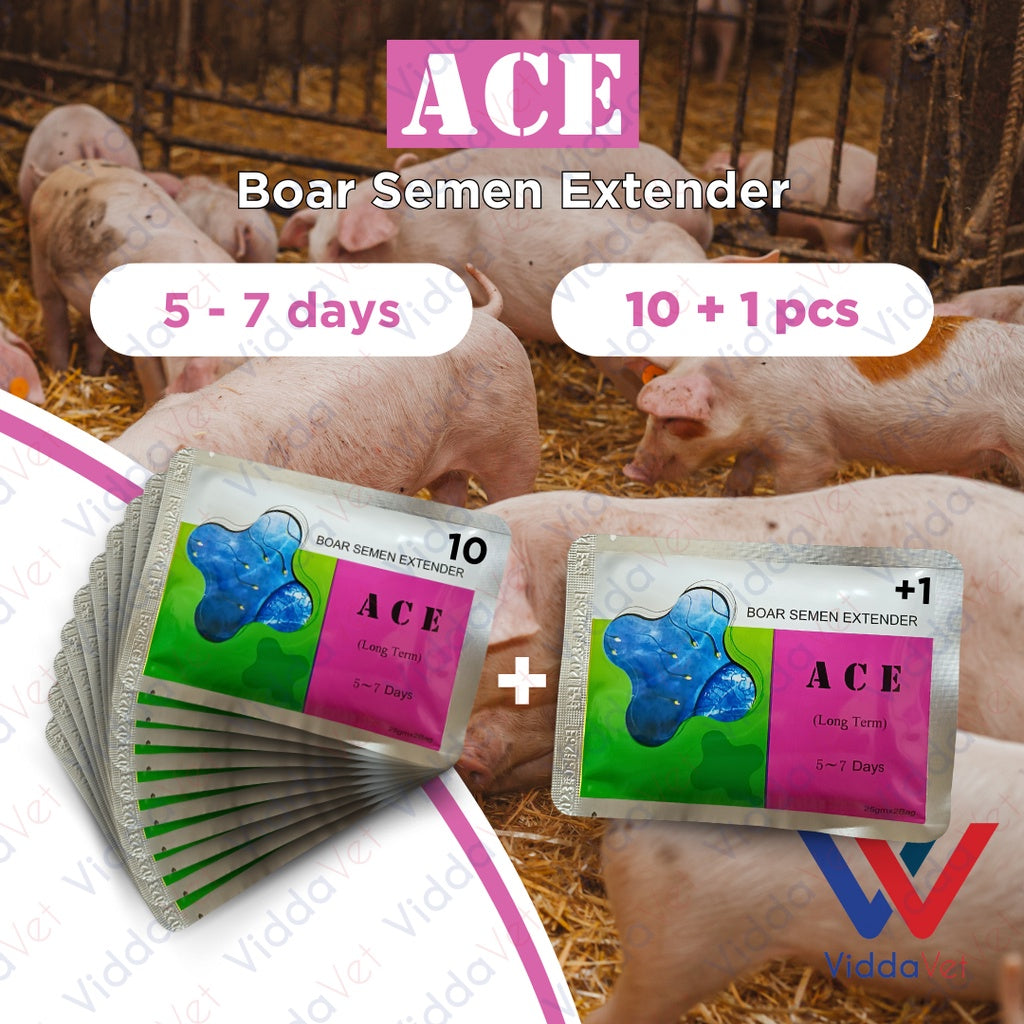 Ace Boar Semen Extender 5 to 7 days 10pcs + 1 Free