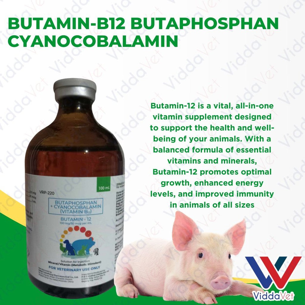 Butamin-B12 Butaphosphan Cyanocobalamin 100mL