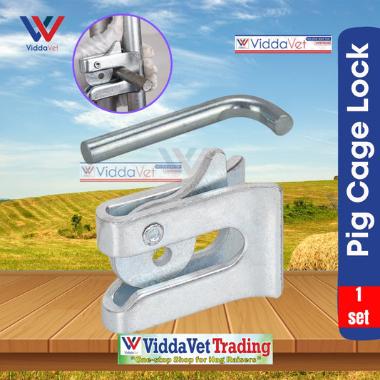Galvanized Door Lock and Pig Cage Lock with Bar