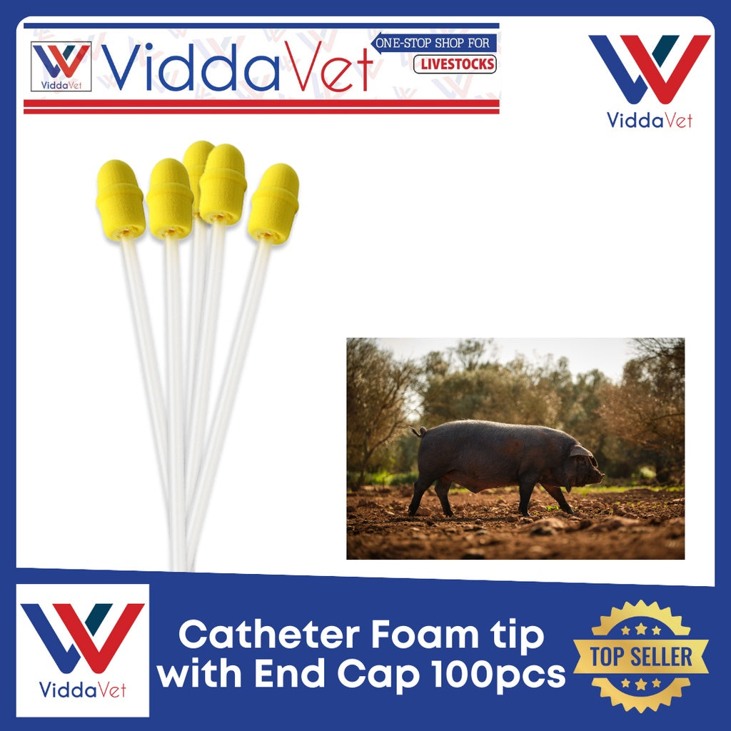 Foam Tip Catheter with End Cap for Gilts 100pcs