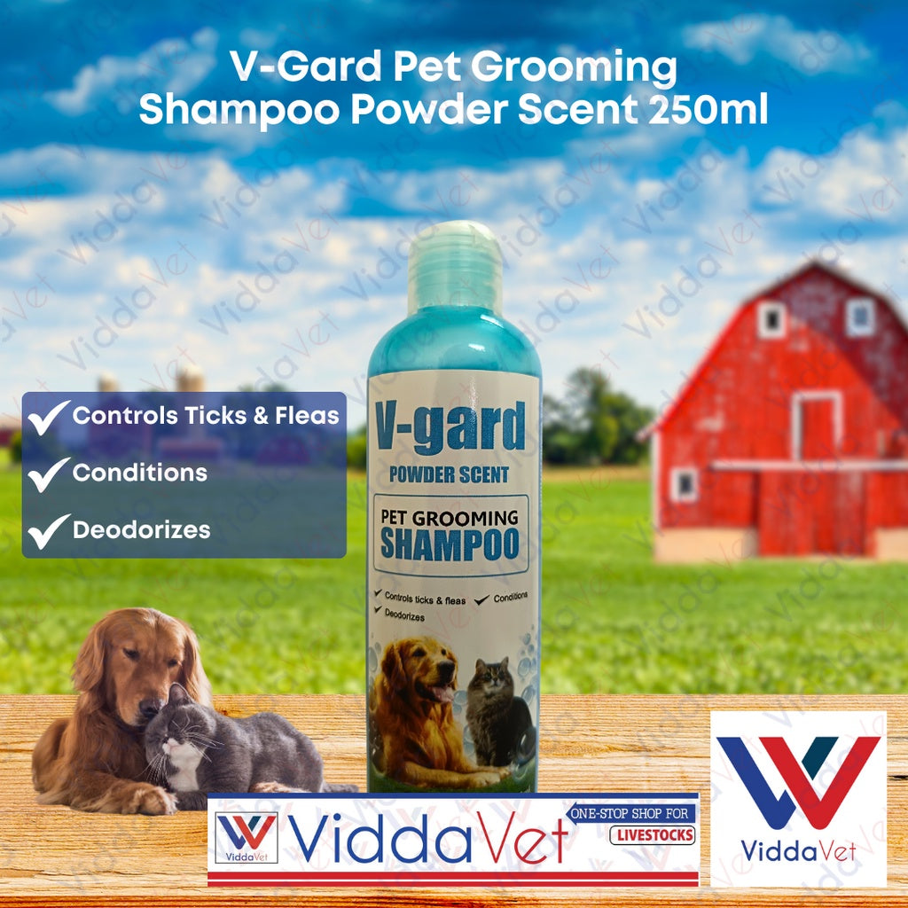 V-GARD Shampoo Powder Scent 150ML