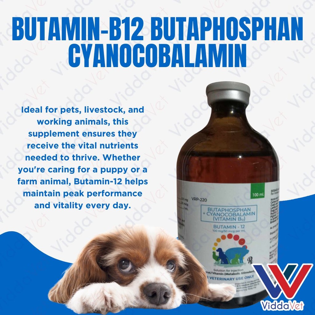 Butamin-B12 Butaphosphan Cyanocobalamin 100mL