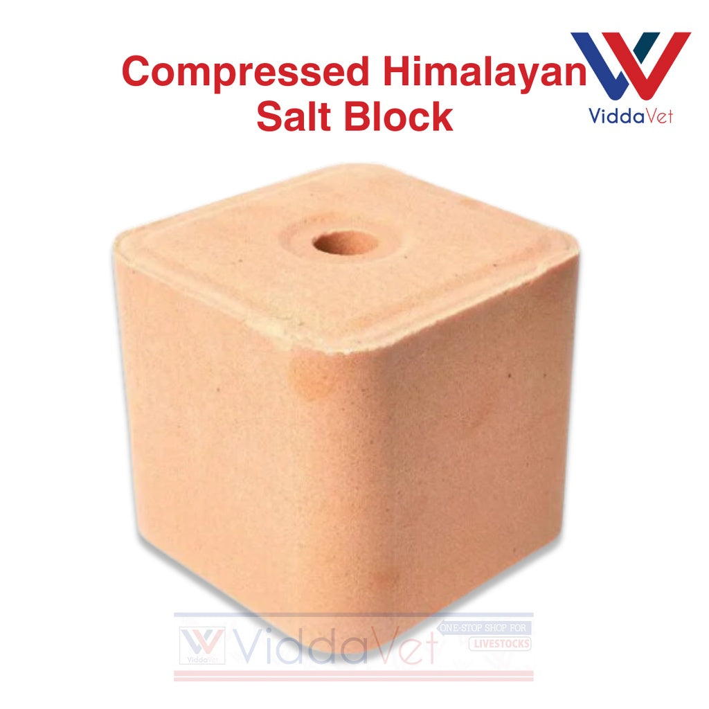 Pure Himalayan Mineral Block