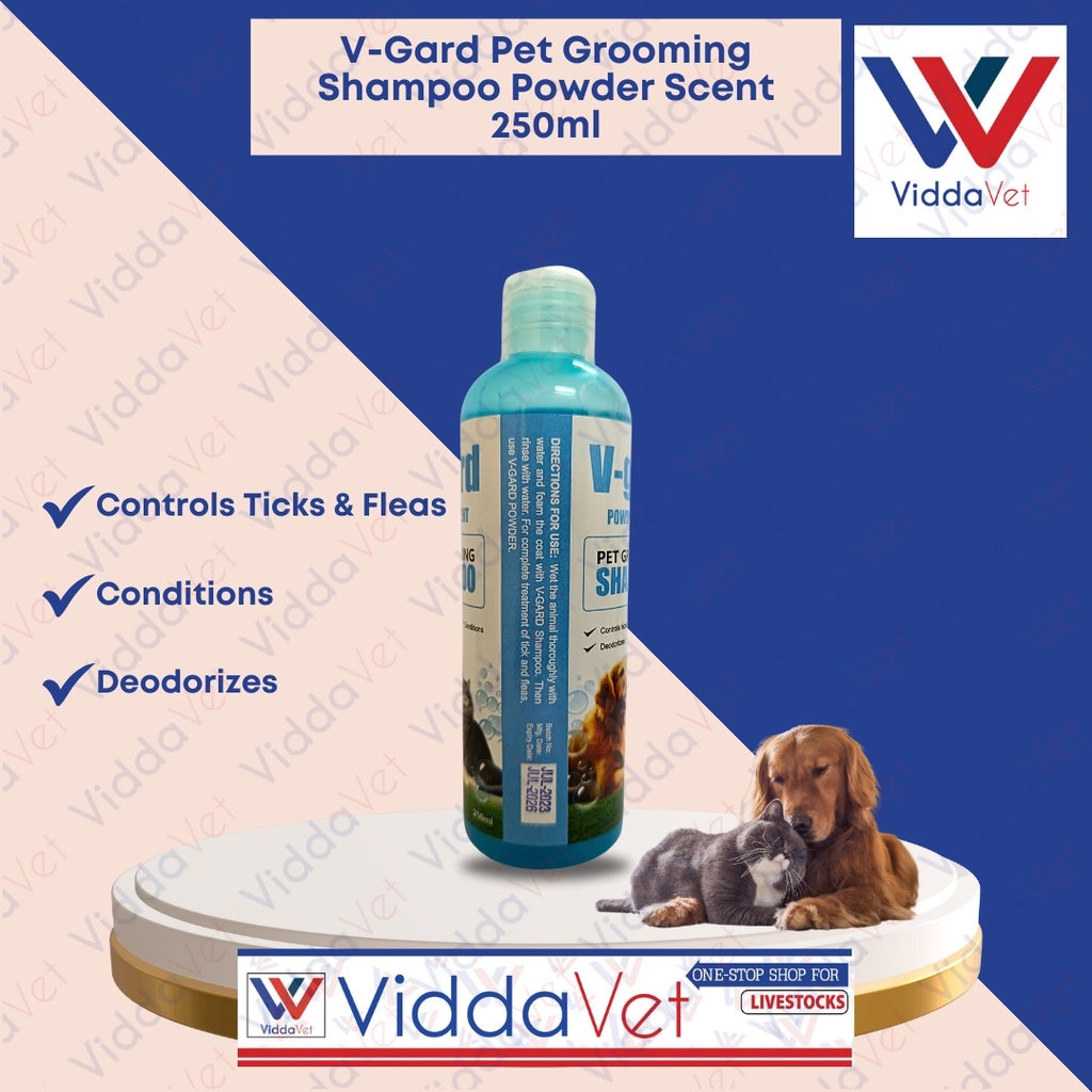 V-GARD Shampoo Powder Scent 150ML