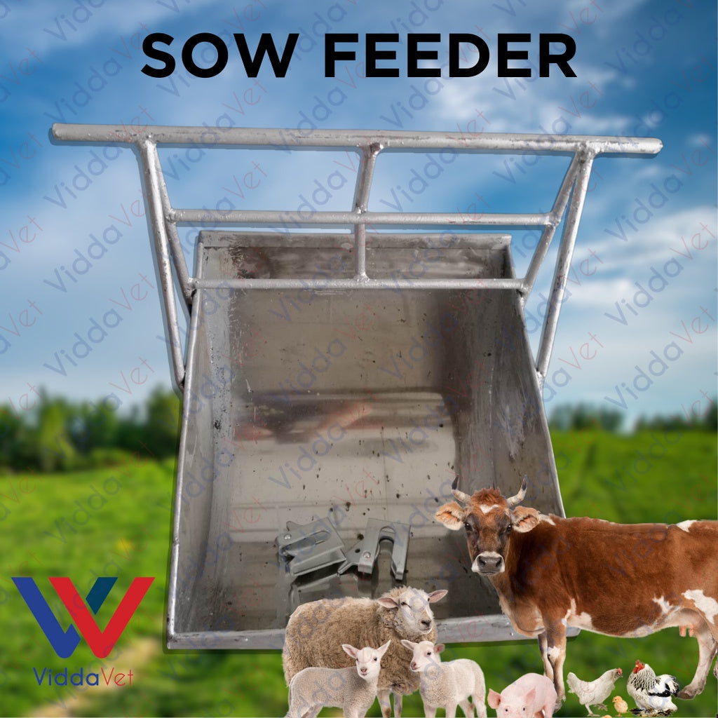 Stainless Sow Feeder with 2 pcs Galvanize Doorlock