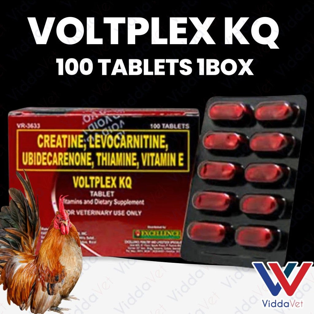 Voltplex KQ 100 Tablets