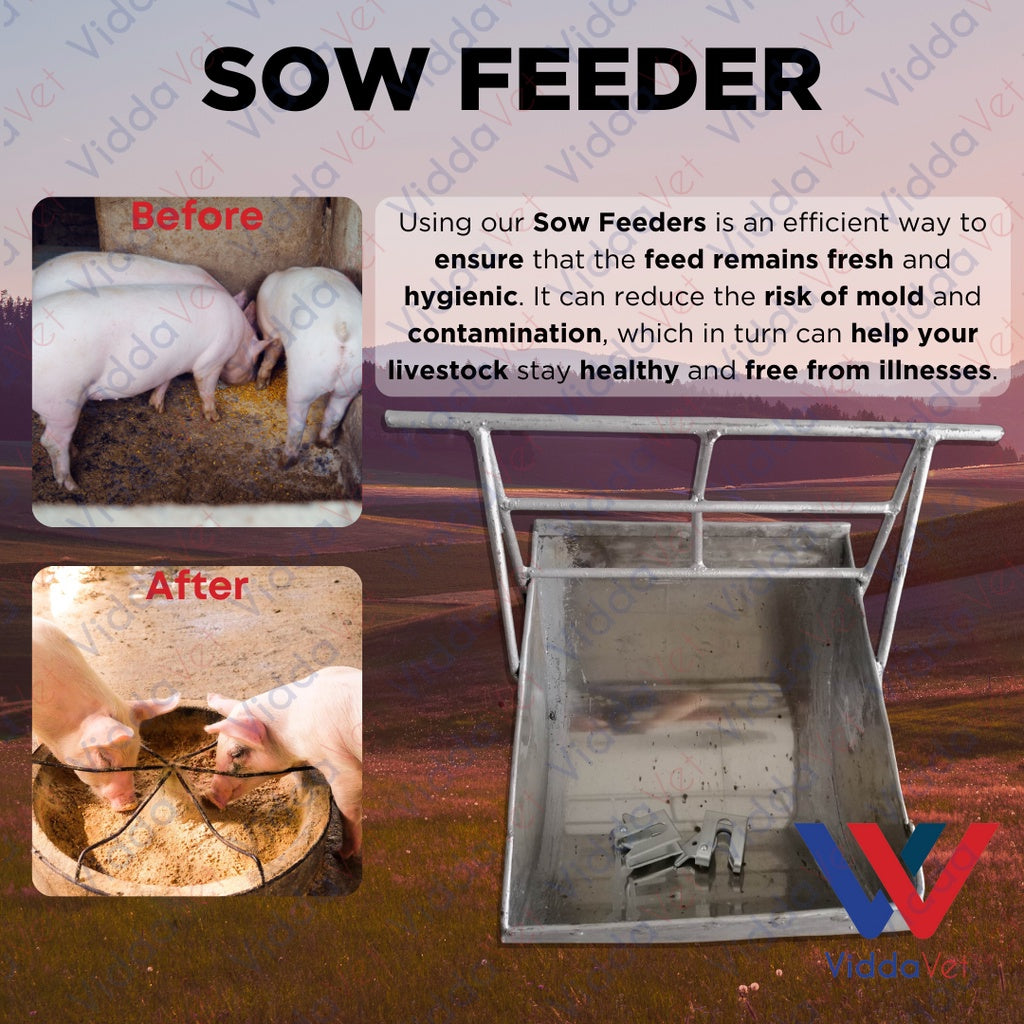 Stainless Sow Feeder with 2 pcs Galvanize Doorlock