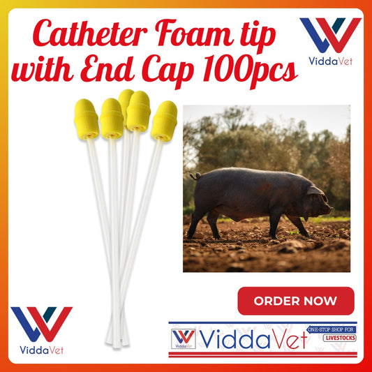 Foam Tip Catheter with End Cap for Gilts 100pcs