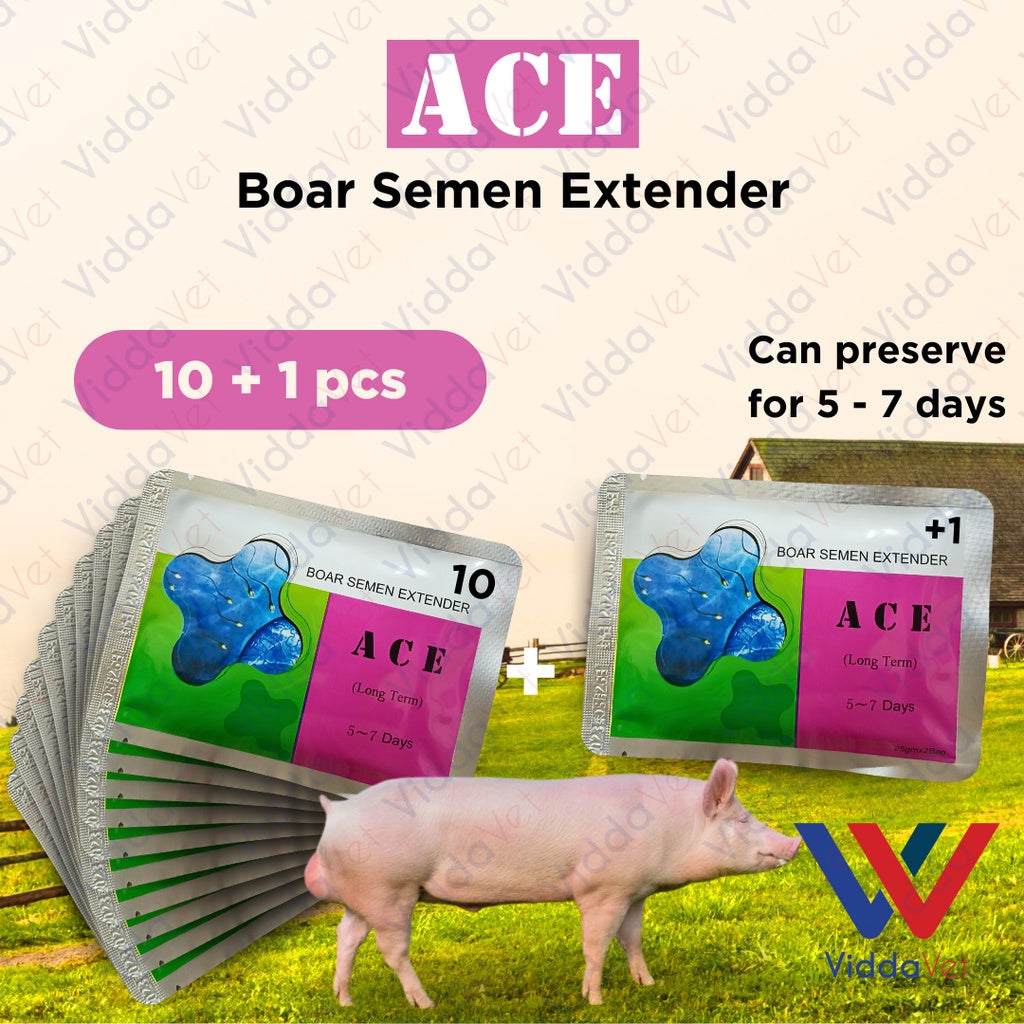 Ace Boar Semen Extender 5 to 7 days 10pcs + 1 Free