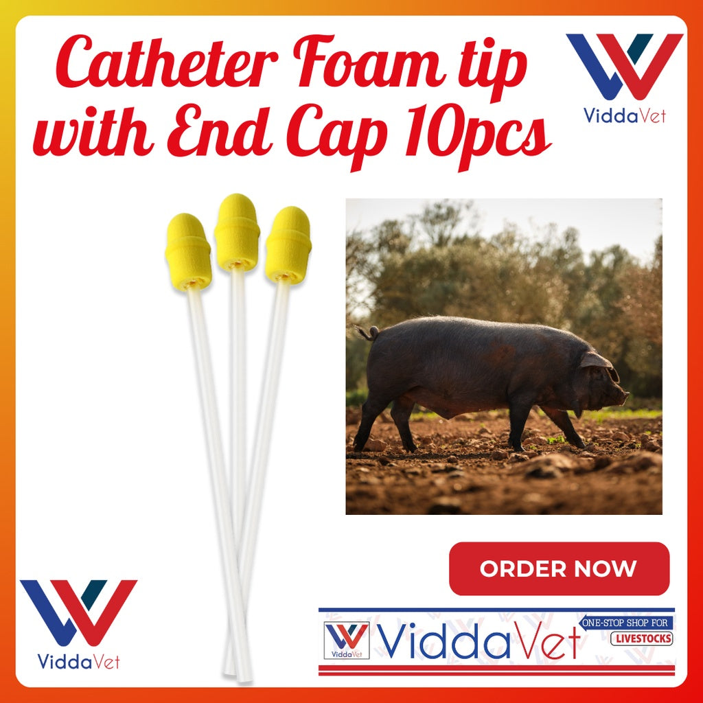 Foam Tip Catheter with End Cap for Gilts 10pcs