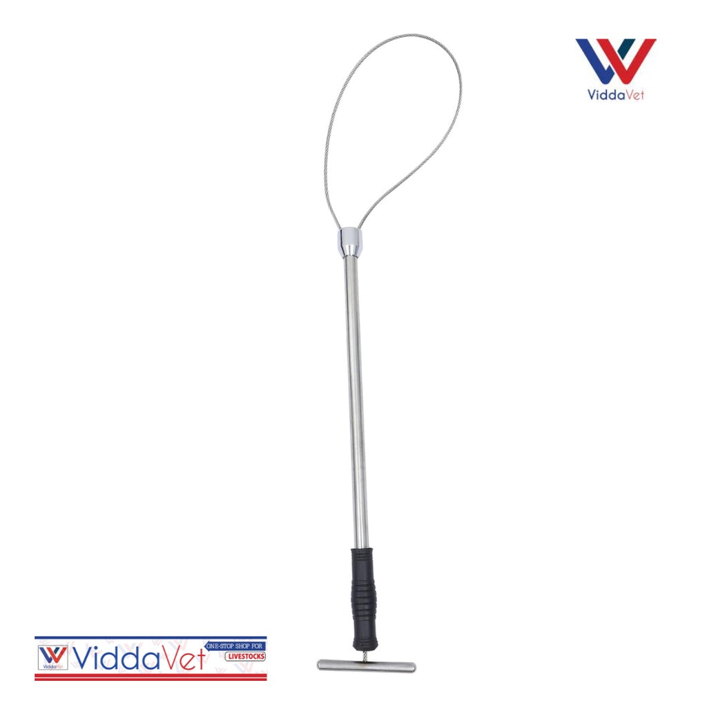 Heavy Duty Stainless Pig Restrainer