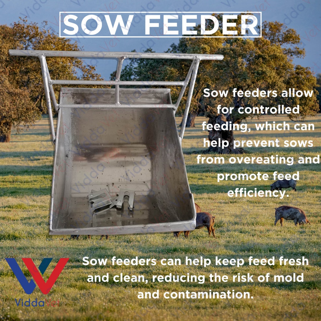 Stainless Sow Feeder with 2 pcs Galvanize Doorlock