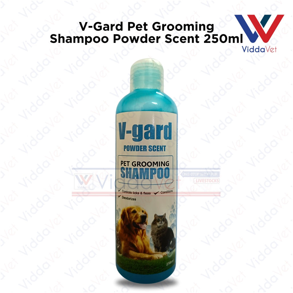 V-GARD Shampoo Powder Scent 150ML
