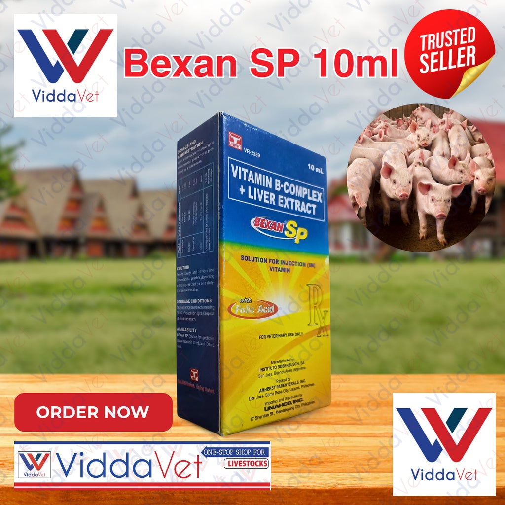 Bexan SP 10ml