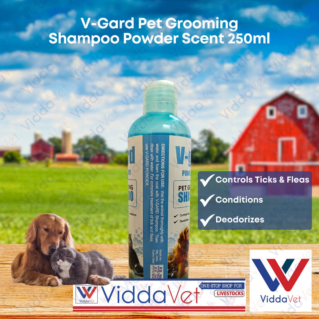 V-GARD Shampoo Powder Scent 150ML