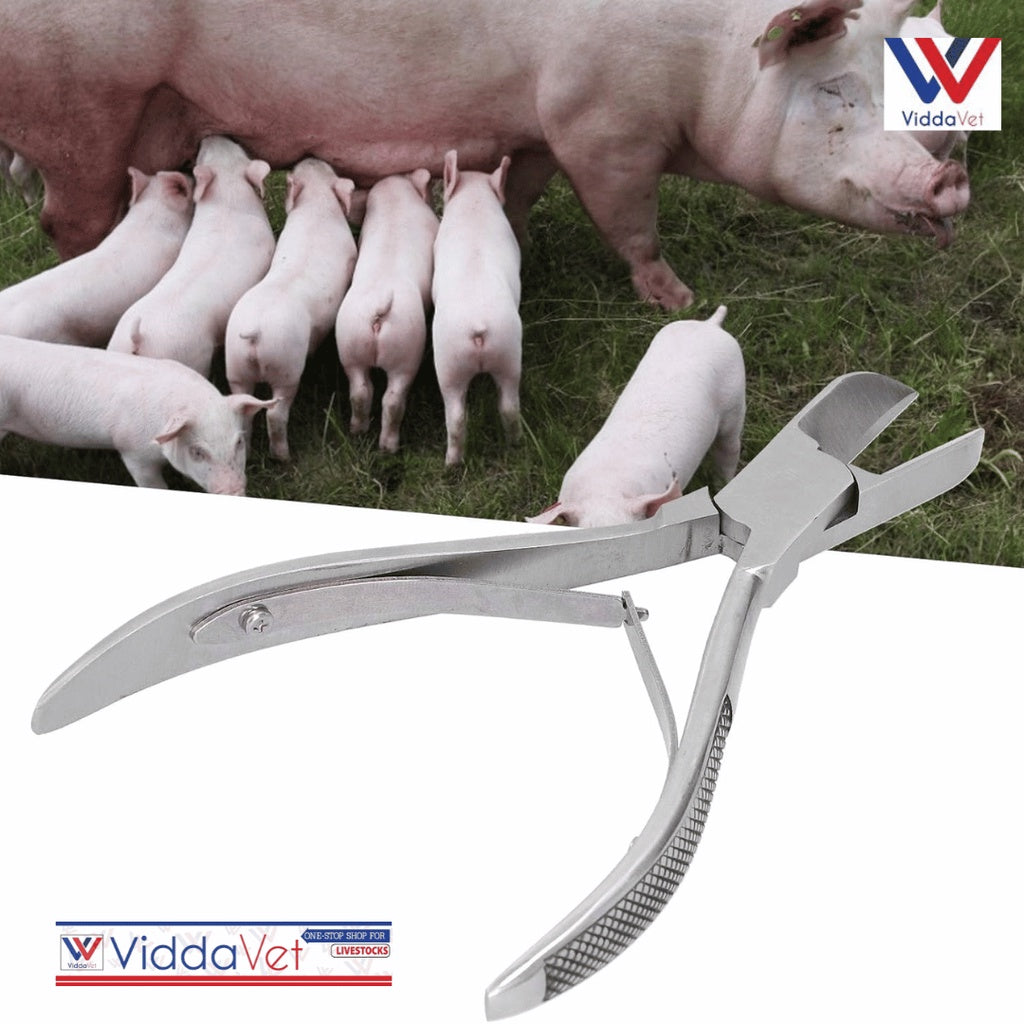 Stainless Piglet Teeth Cutter