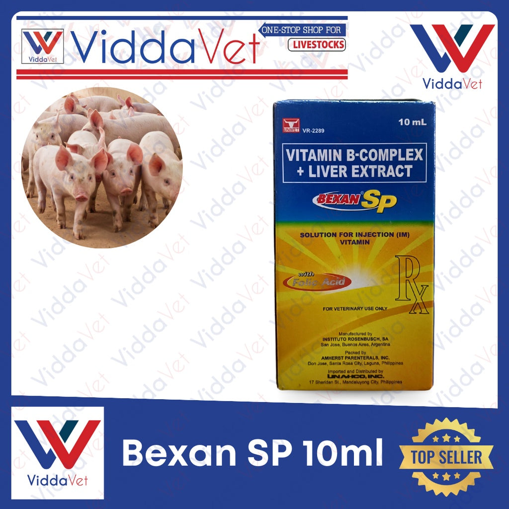 Bexan SP 10ml