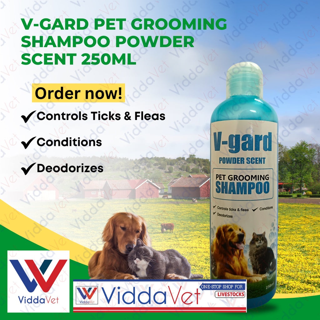 V-GARD Shampoo Powder Scent 150ML