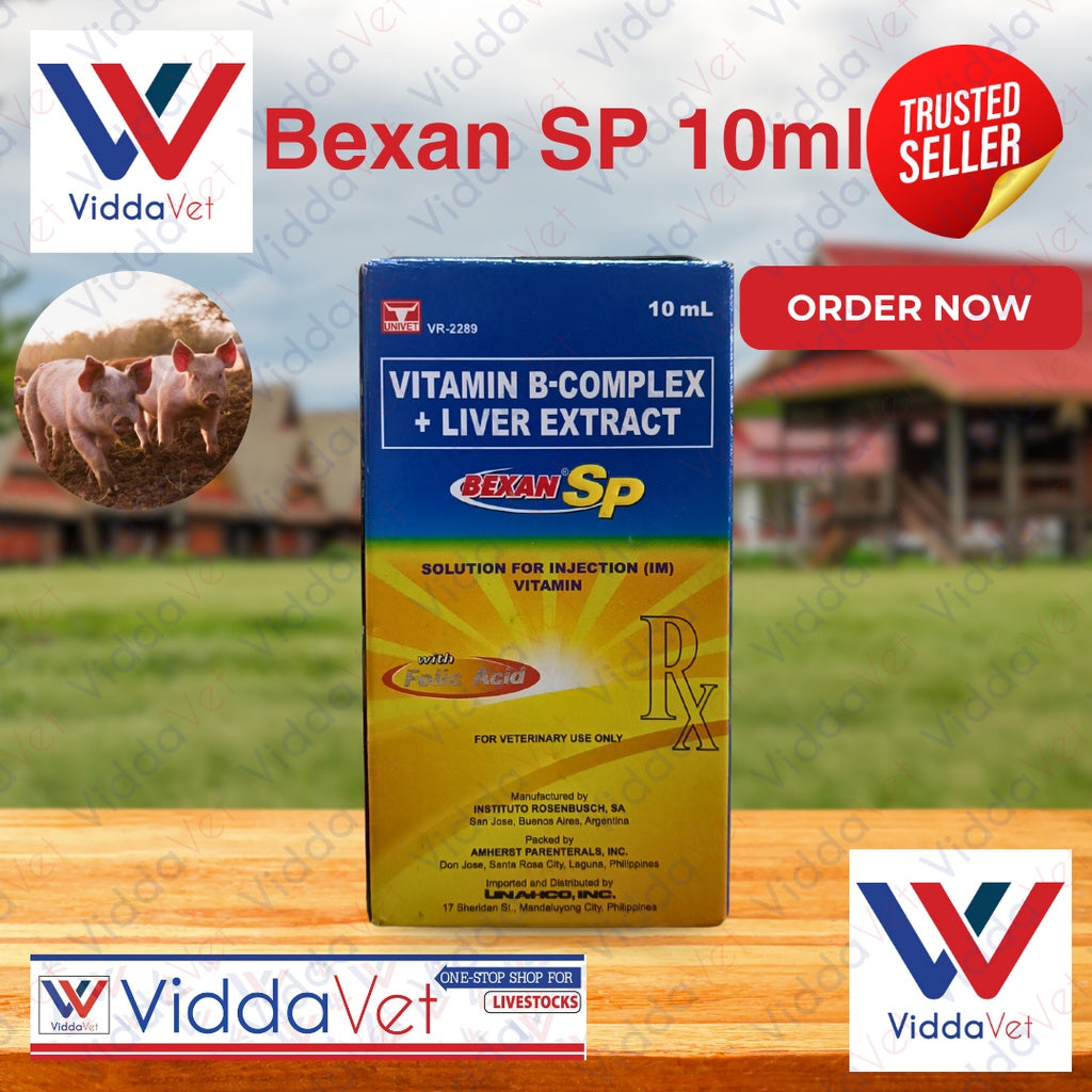 Bexan SP 10ml