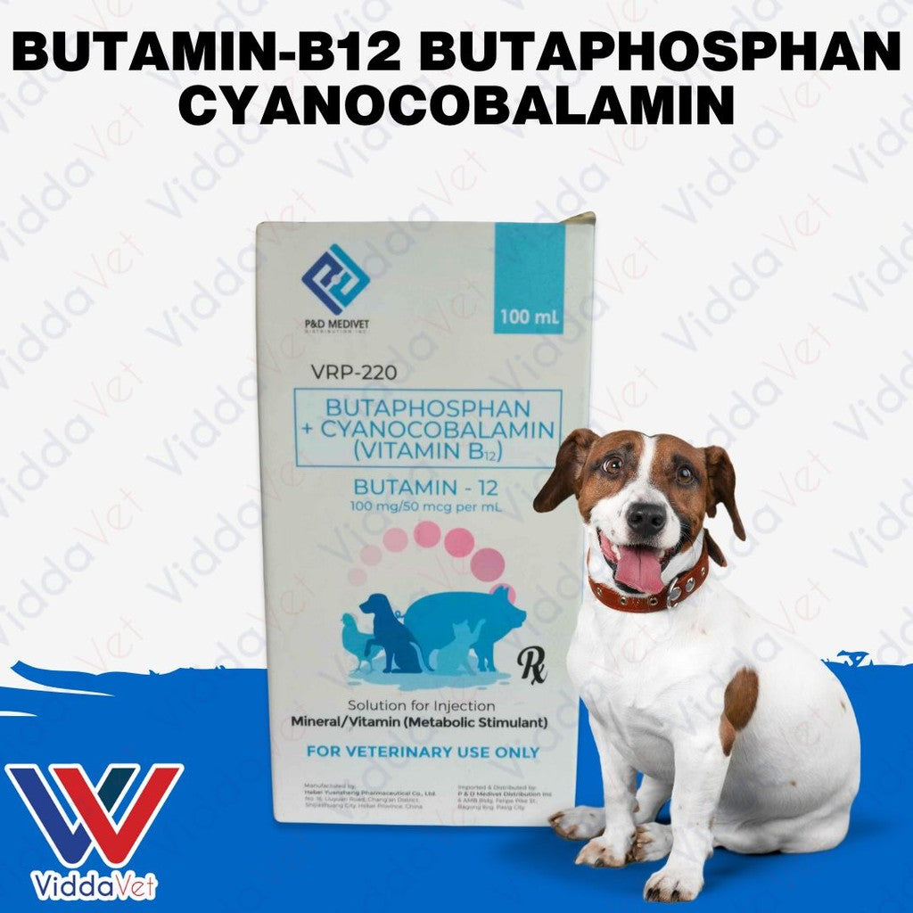 Butamin-B12 Butaphosphan Cyanocobalamin 100mL