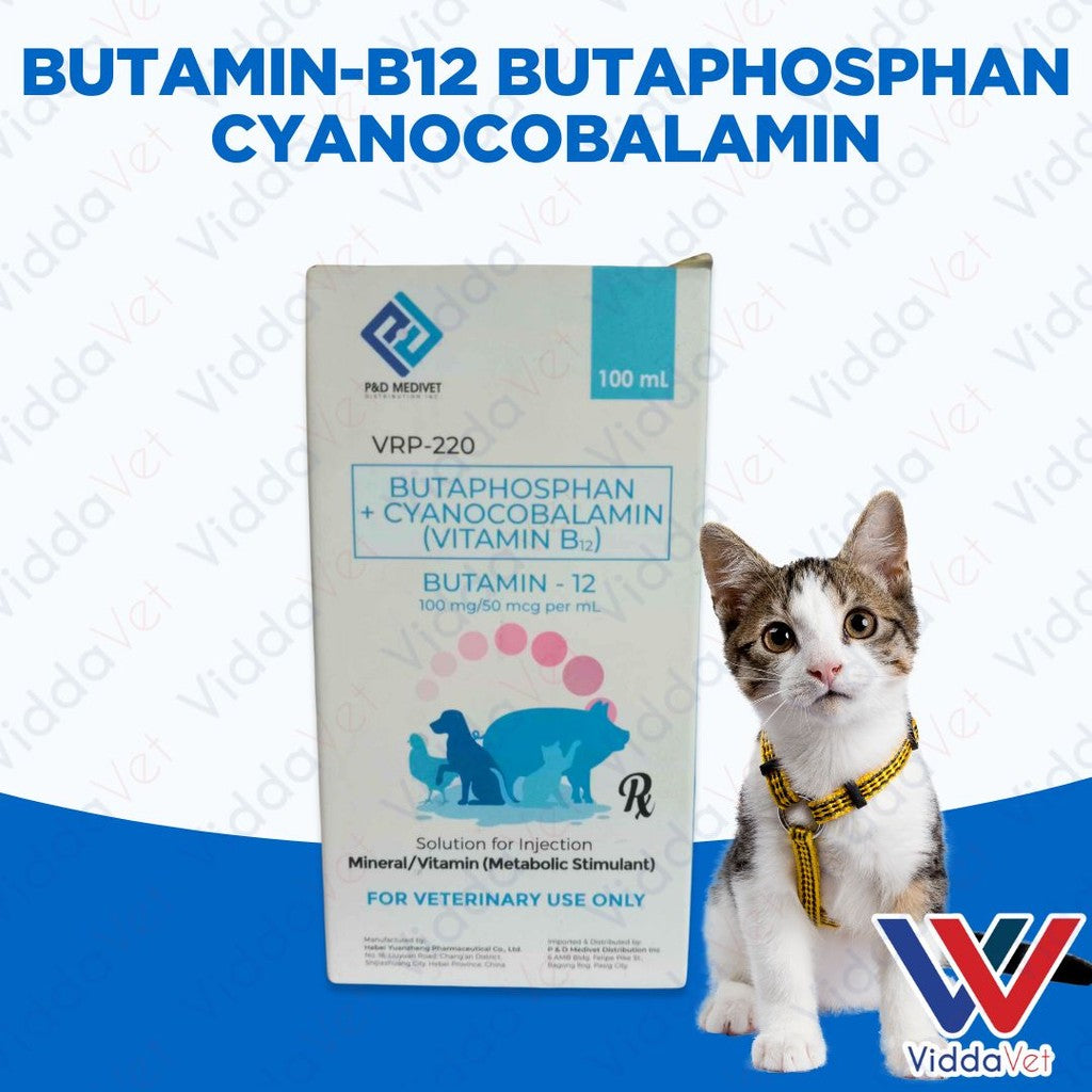Butamin-B12 Butaphosphan Cyanocobalamin 100mL