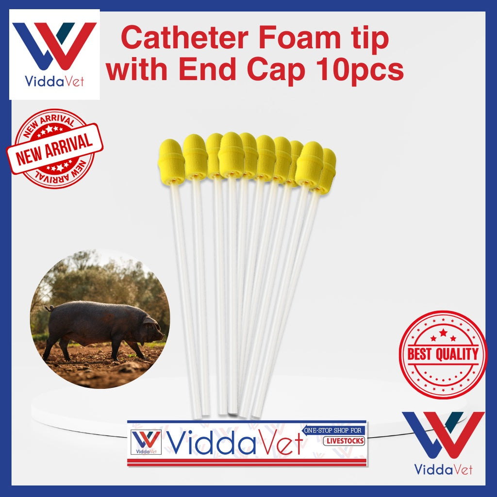 Foam Tip Catheter with End Cap for Gilts 10pcs