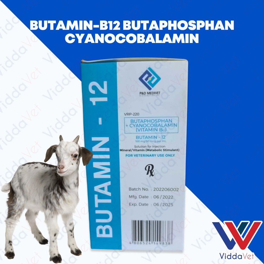 Butamin-B12 Butaphosphan Cyanocobalamin 100mL